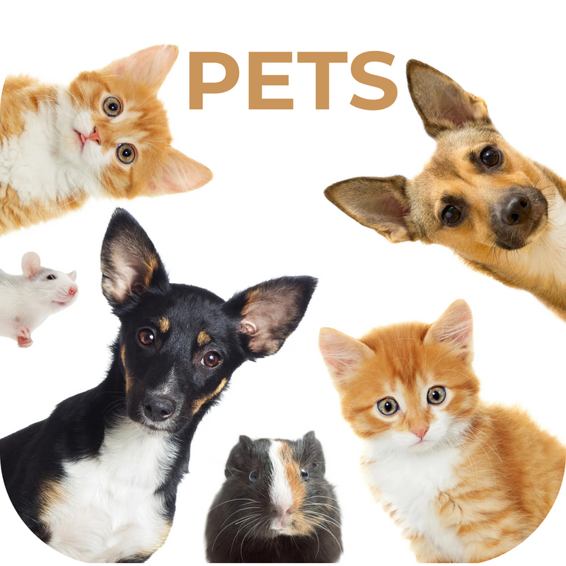 Pets