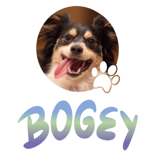 Pet Photo with name in Gradient Finish