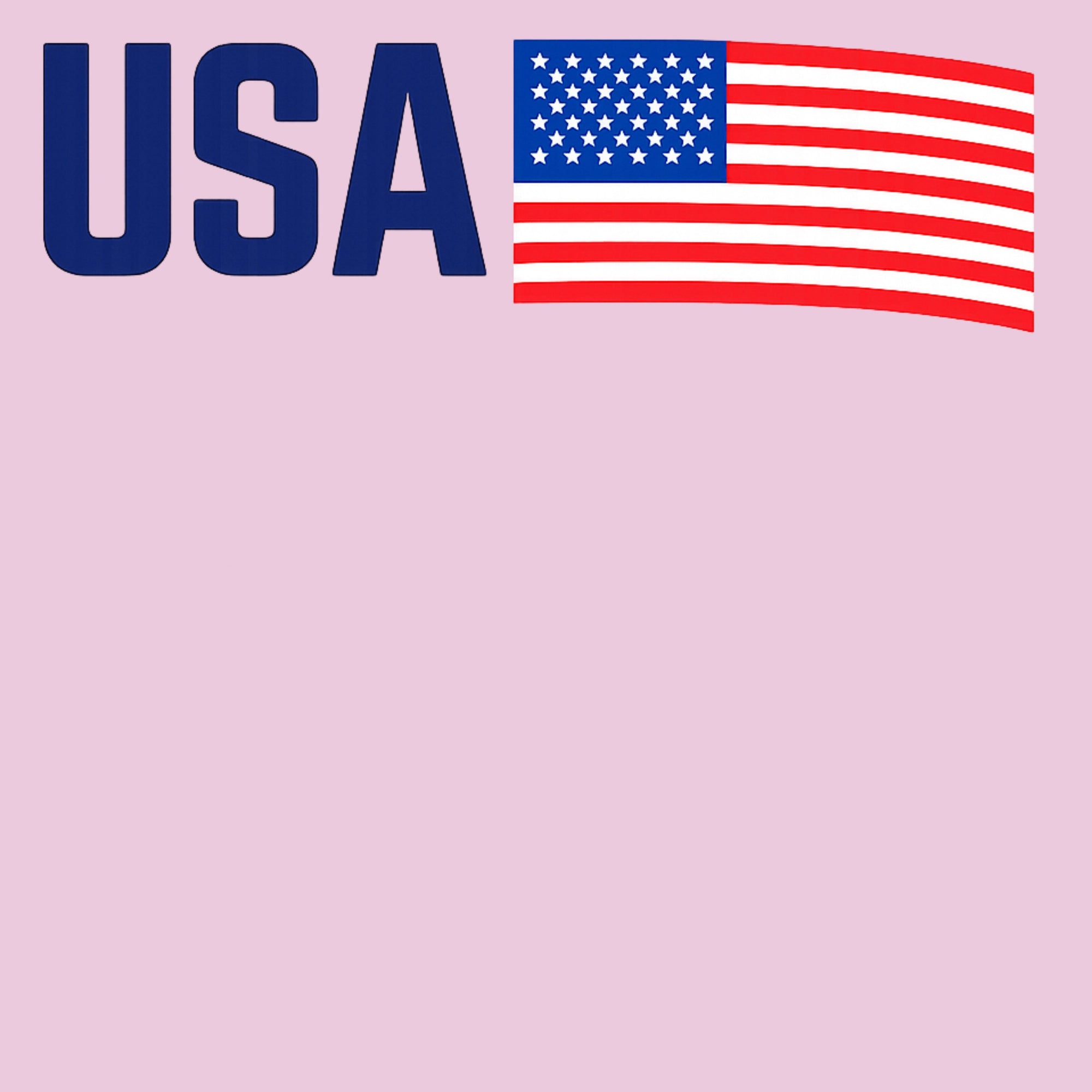 USA Youth Hoodie - Light Pink design preview