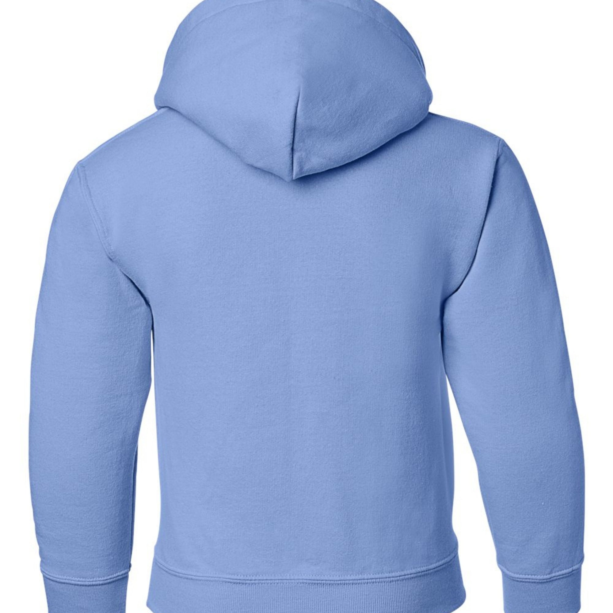 Take Me Out To The Ballgame Youth Hoodie - Light Blue back mockup