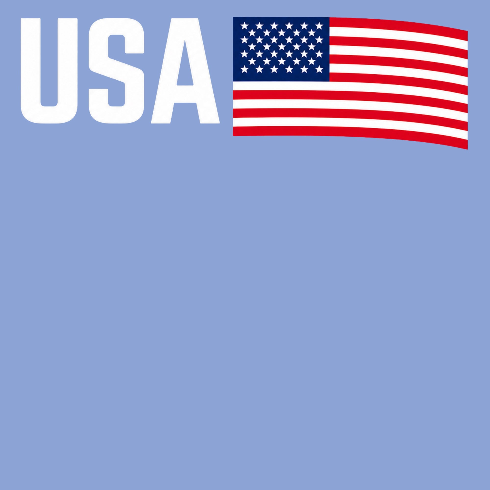 USA Youth Hoodie - Light Blue design preview