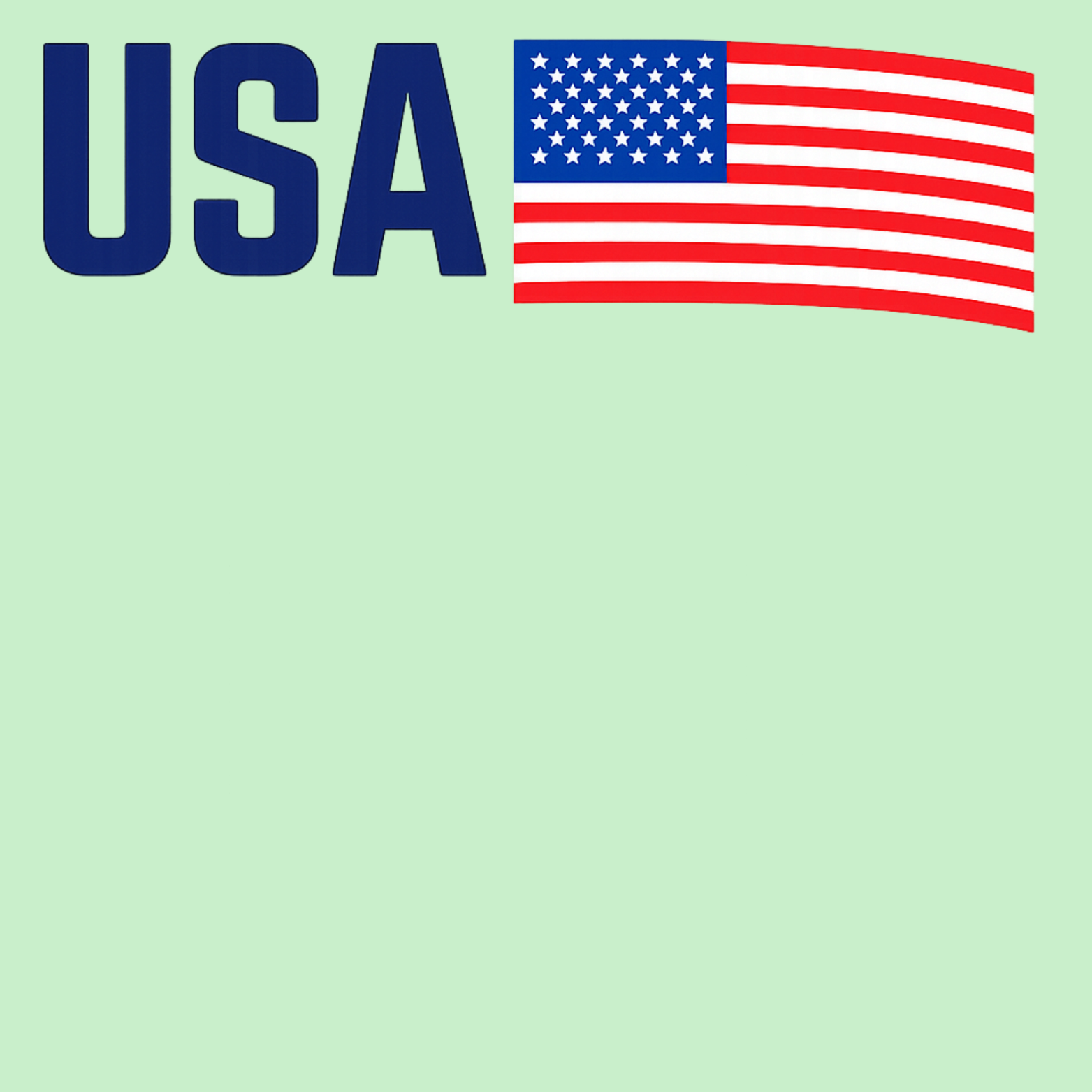 USA Hoodie - Mint design preview