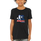 Take Me Out To The Ballgame Youth Triblend Tee - Black front mockup