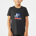 Take Me Out To The Ballgame Youth Triblend Tee - Black Heather front mockup