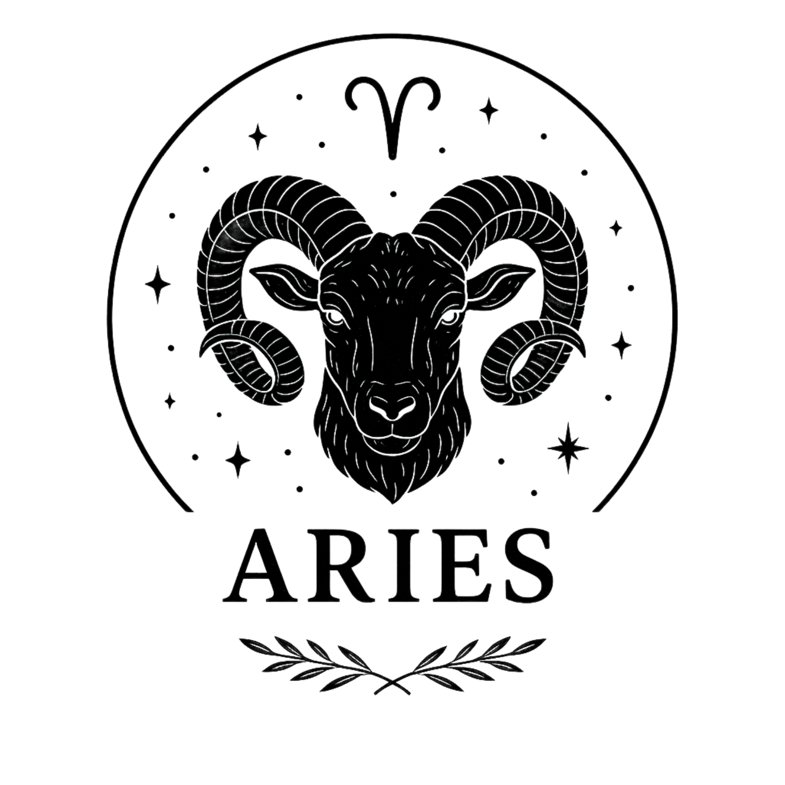 Aries Hoodie - Navy