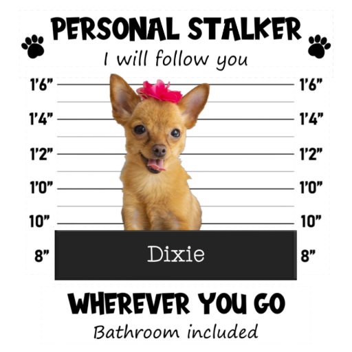 Stalker Mug Shot - Photo Sweatshirt alternate product view 2