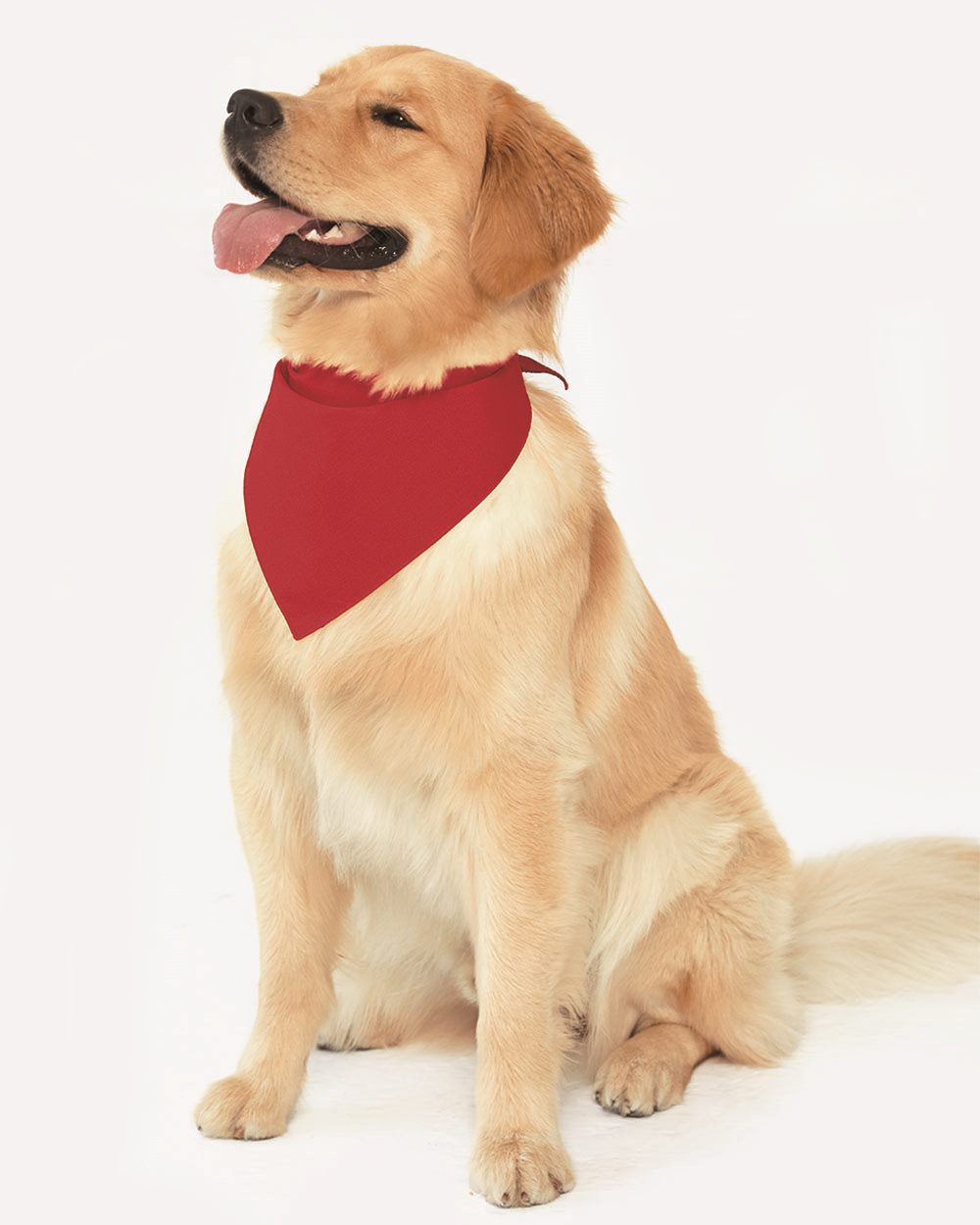 Pet Bandana