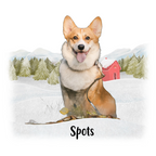 Christmas with my pet Coffee Mug alternate product view 2