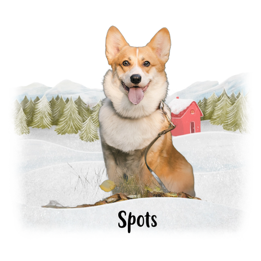 Christmas with my pet Sweatshirt alternate product view 2