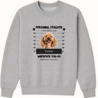 Stalker Mug Shot - Photo Sweatshirt hero product mockup