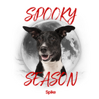 Spooky season Sweatshirt alternate product view 2