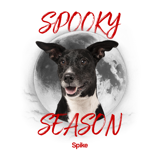 Spooky season Sweatshirt alternate product view 2