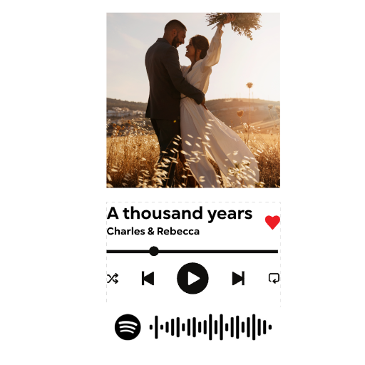 Music player - Spotify Hoodie alternate product view 2
