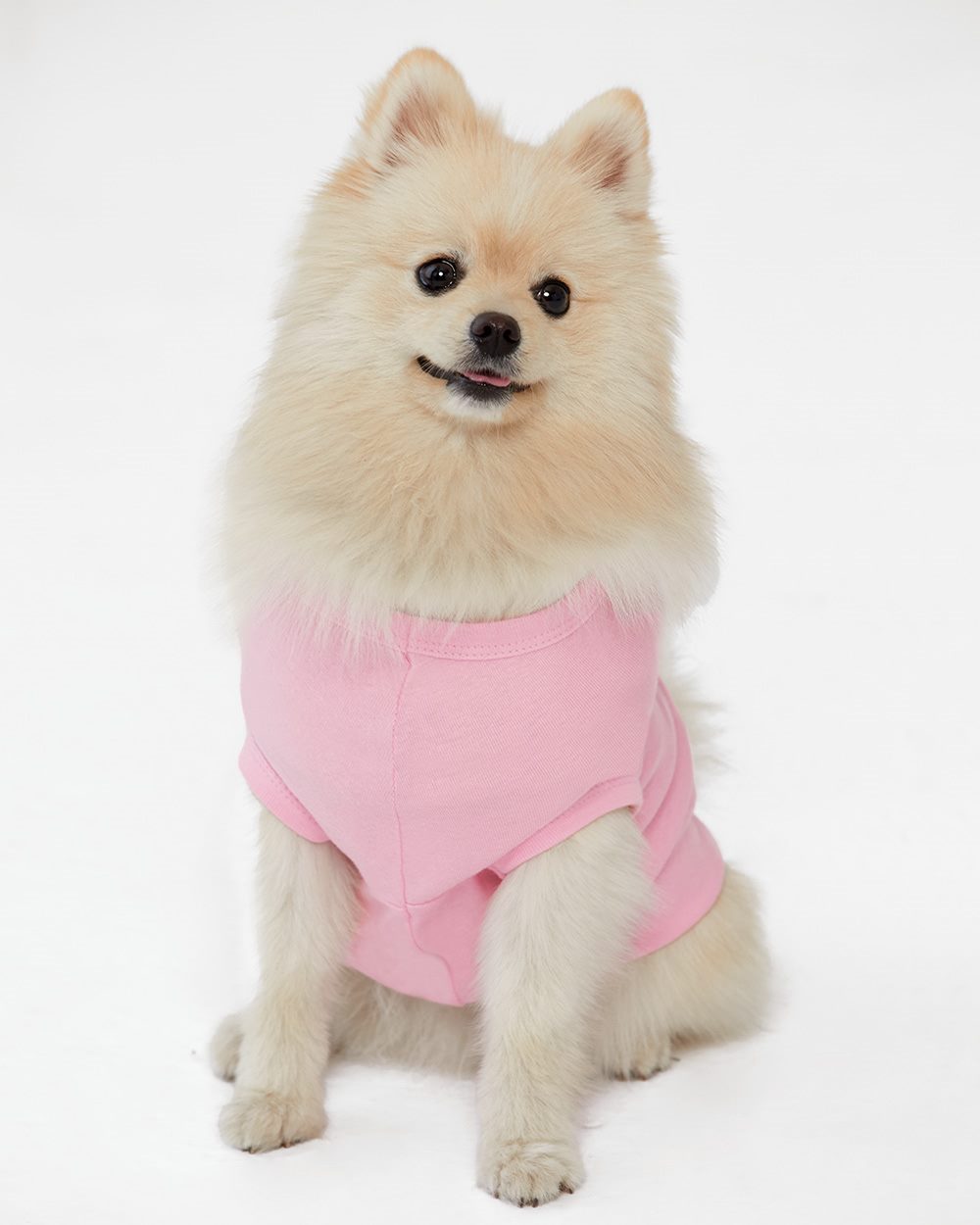 Doggie Shirt